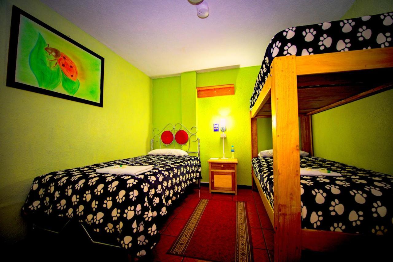 Mirador Oro Verde Quilotoa Zumbagua Zewnętrze zdjęcie